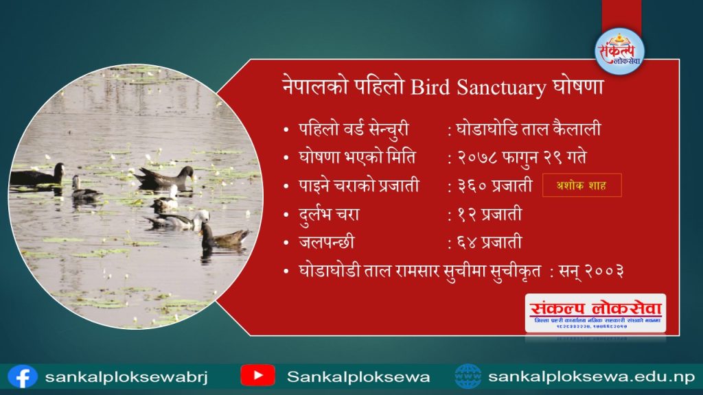 Bird Sanctuary